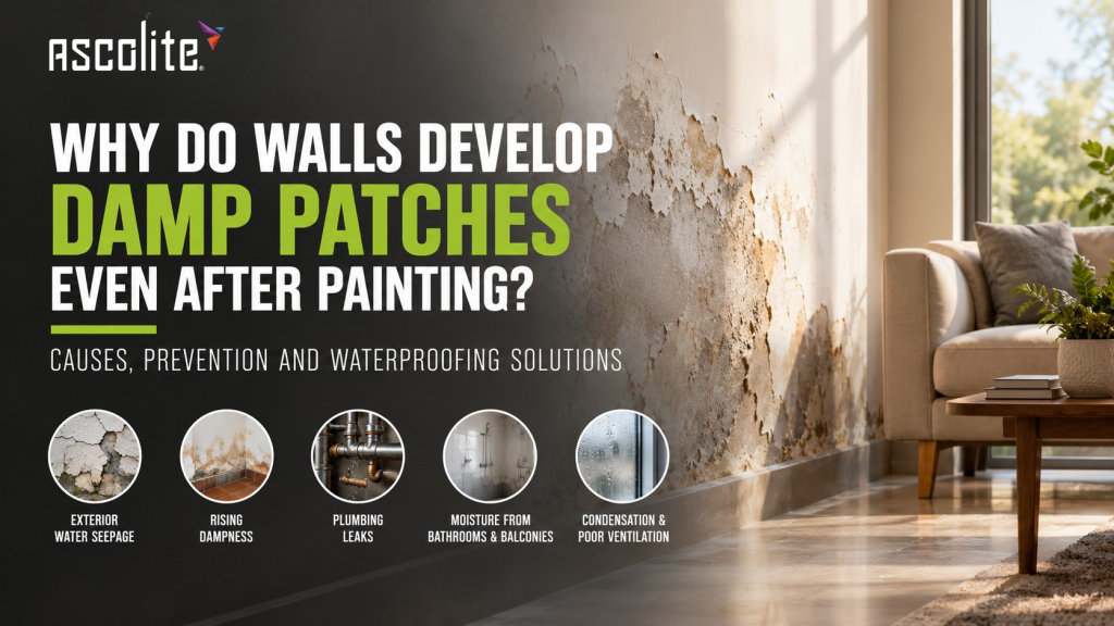 Why Do Walls Develop Damp Patches Even After Painting? Causes, Prevention and Waterproofing Solutions
